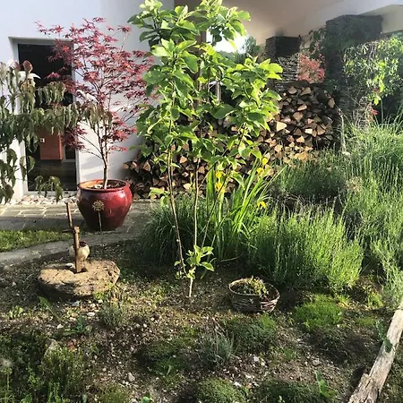 Villa Butterfly Hill Maribor
